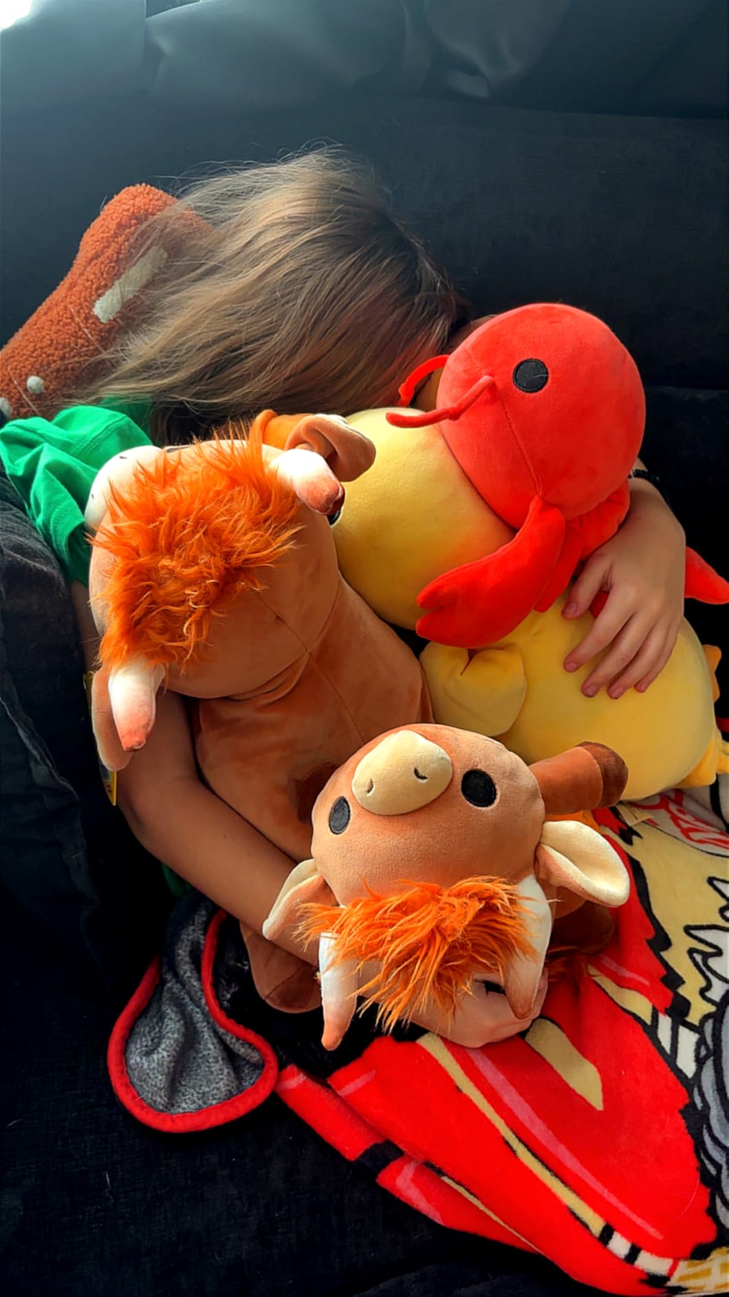 Customer photo of a Hug-A-Lumps weighted plush animal