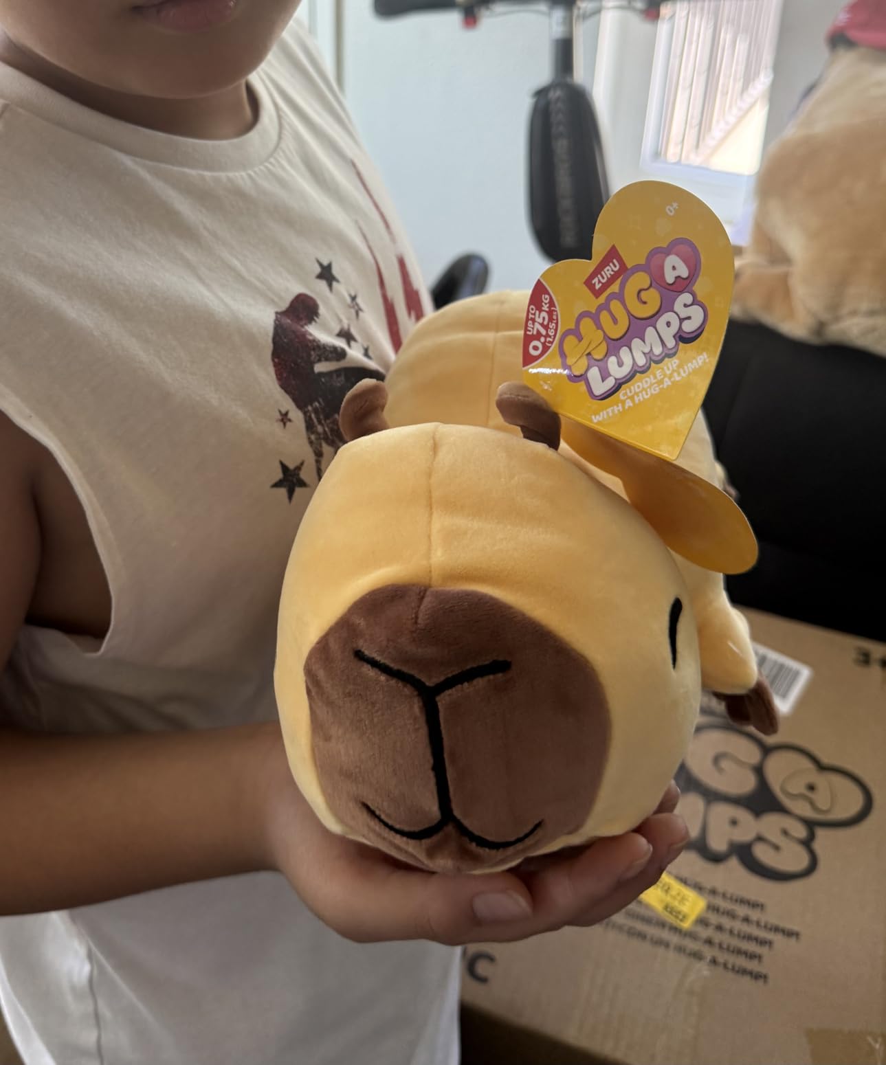 Customer photo of a Hug-A-Lumps soft plush character