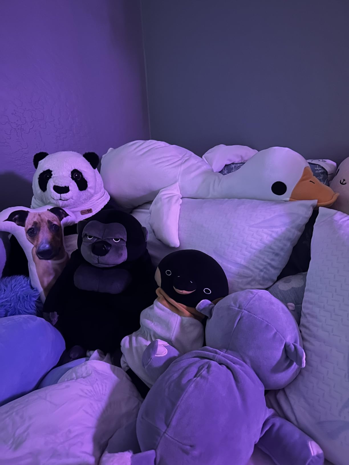 Customer photo of a Hug-A-Lumps plush collection