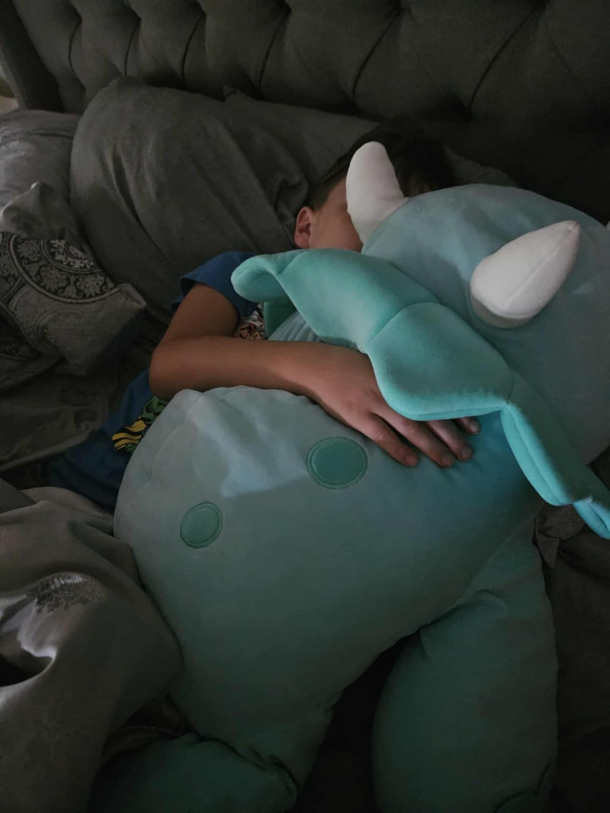 Customer photo of a Hug-A-Lumps weighted plush friend